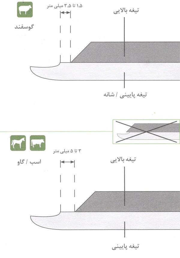 پشم‌چین گوسفند برقی کربل آلمان با موتور قدرتمند و تیغه فولادی